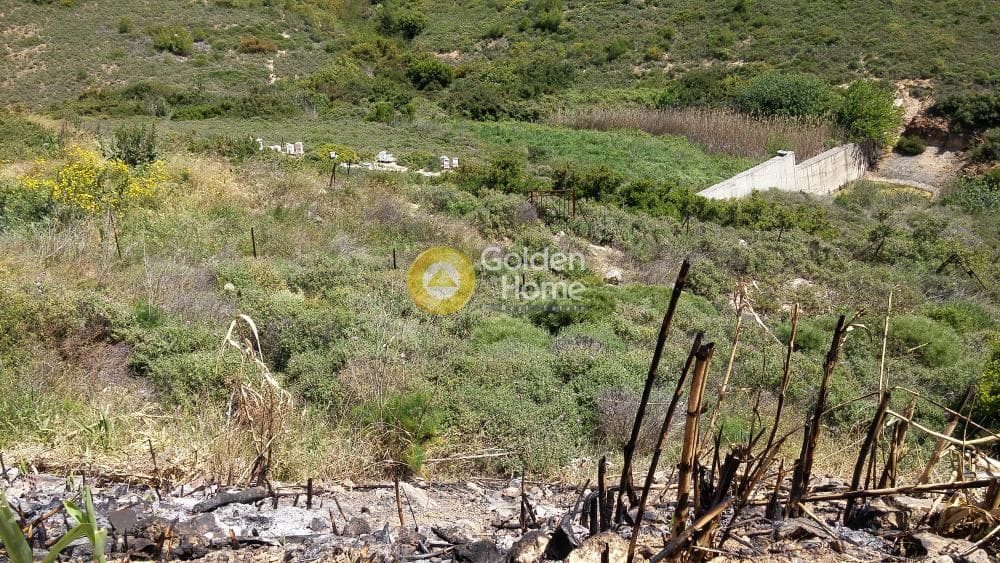Building Plot in Anthousa, Anthoisa — Photo 4 of 7