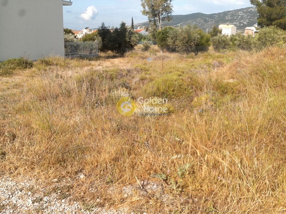 Οικόπεδο στην Μεγάλα Σχοινία Α, Αχαρνές — Φωτογραφία 5 από 6