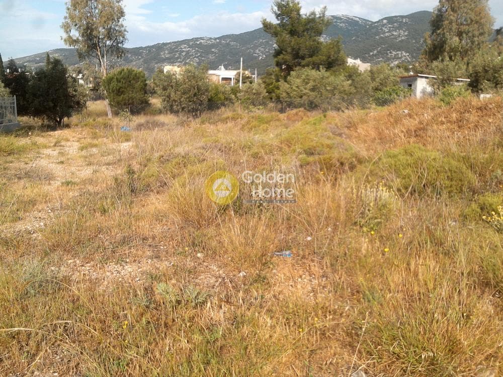 Οικόπεδο στην Μεγάλα Σχοινία Α, Αχαρνές — Φωτογραφία 6 από 6