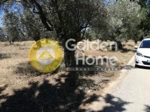 Building Plot in Neapoli, Spata — Photo 1 of 2