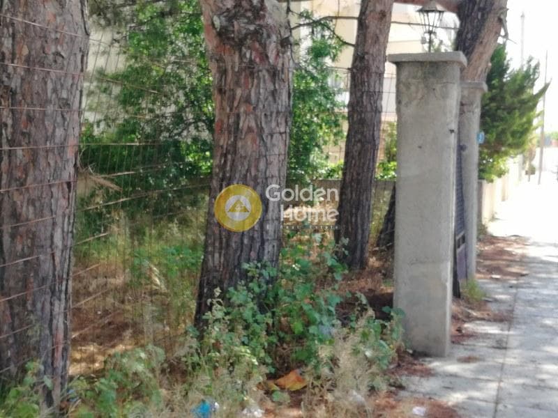 Οικόπεδο στην Μεγάλα Σχοινία Α, Αχαρνές — Φωτογραφία 4 από 4