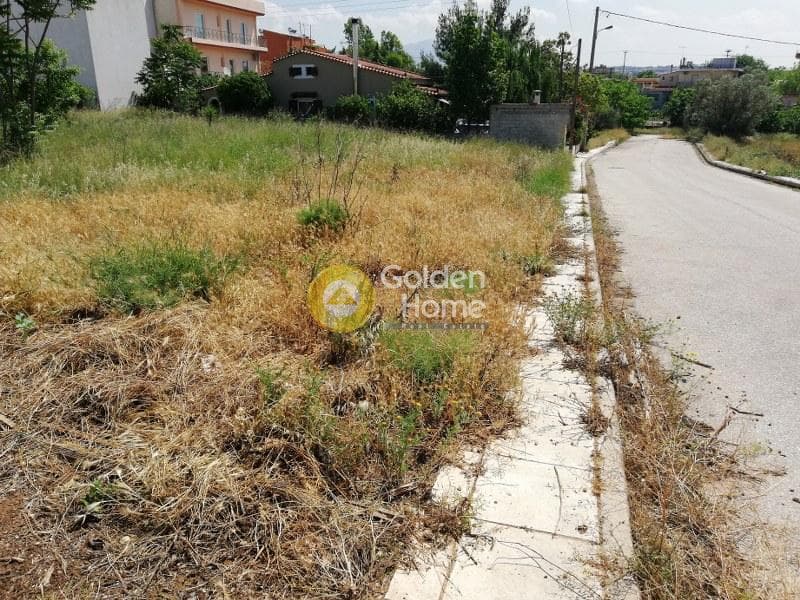 Οικόπεδο στην Πυργούθι, Αχαρνές — Φωτογραφία 1 από 6