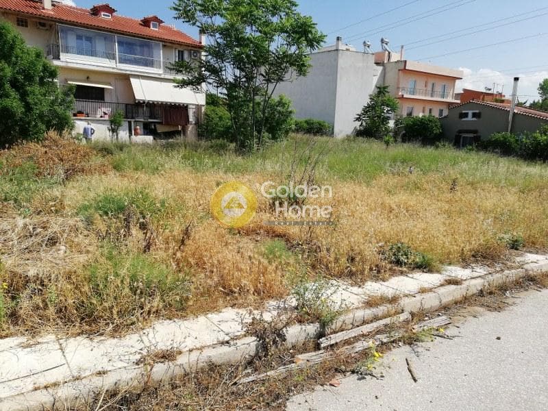Οικόπεδο στην Πυργούθι, Αχαρνές — Φωτογραφία 6 από 6