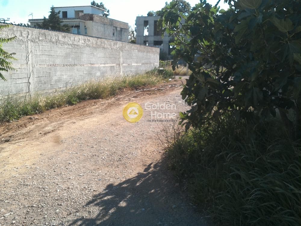 Αγροτεμάχιο στην Μεγάλα Σχοινία Α, Αχαρνές — Φωτογραφία 2 από 6