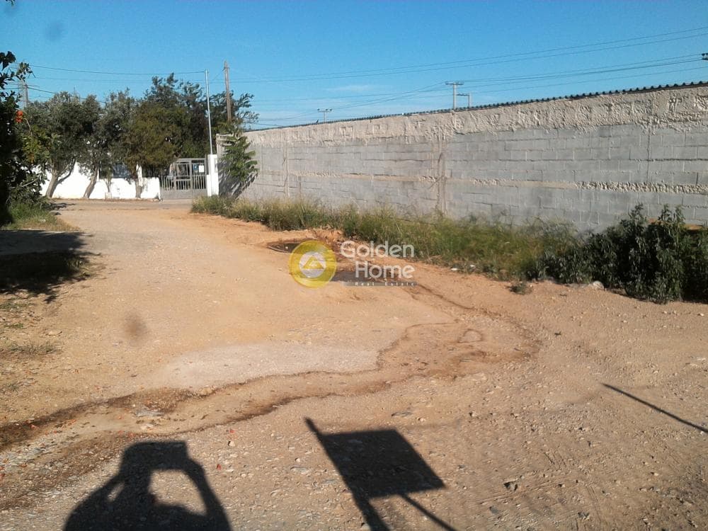 Αγροτεμάχιο στην Μεγάλα Σχοινία Α, Αχαρνές — Φωτογραφία 6 από 6