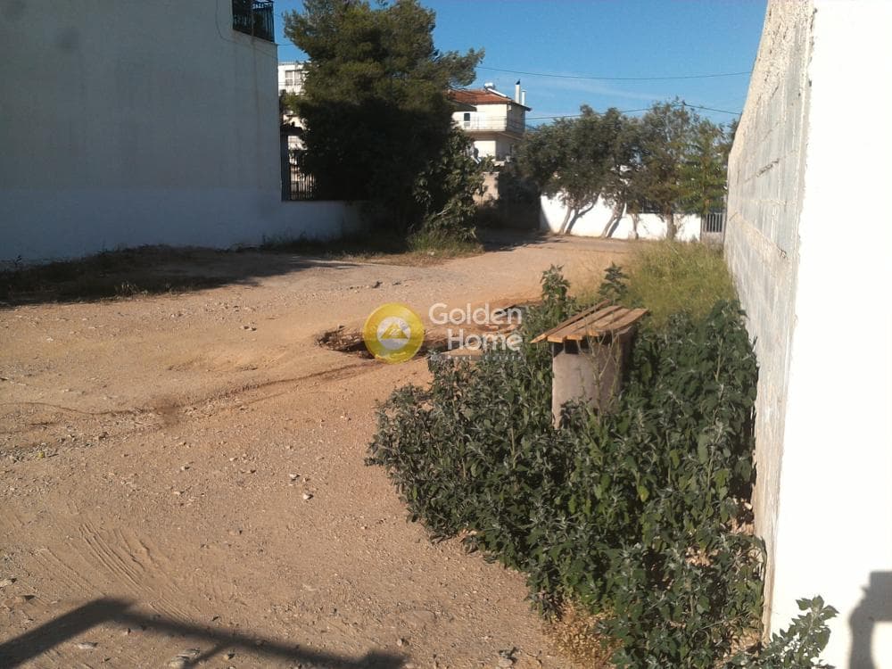 Αγροτεμάχιο στην Μεγάλα Σχοινία Α, Αχαρνές — Φωτογραφία 3 από 6