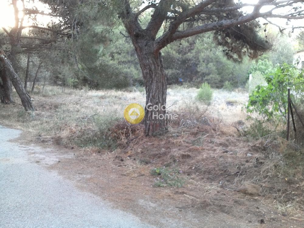 Αγροτεμάχιο στην Μεγάλα Σχοινία Α, Αχαρνές — Φωτογραφία 2 από 5