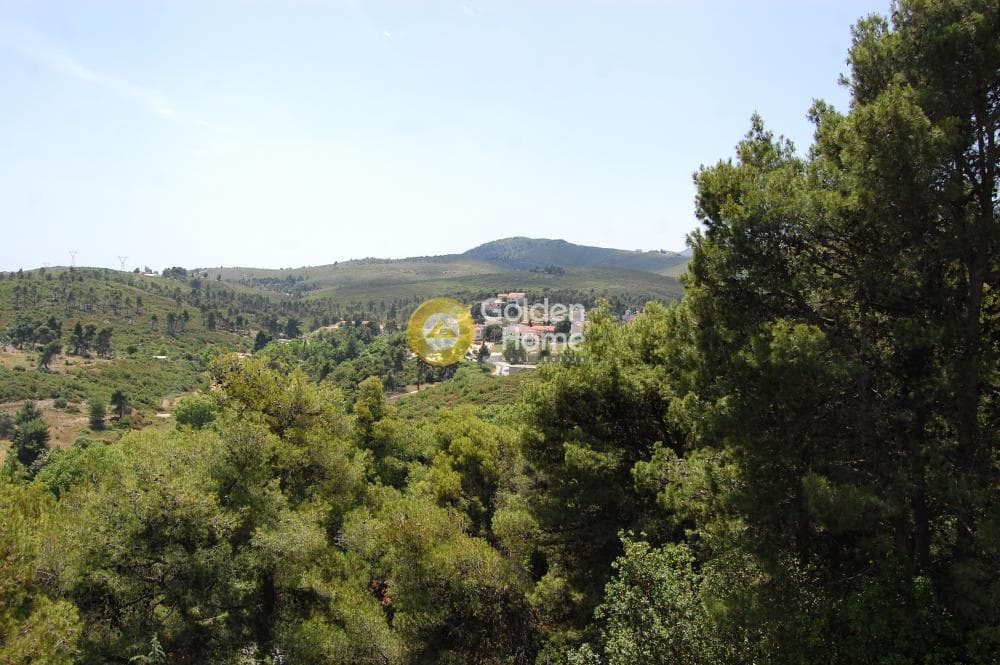 House in Center, Stamata — Photo 1 of 25