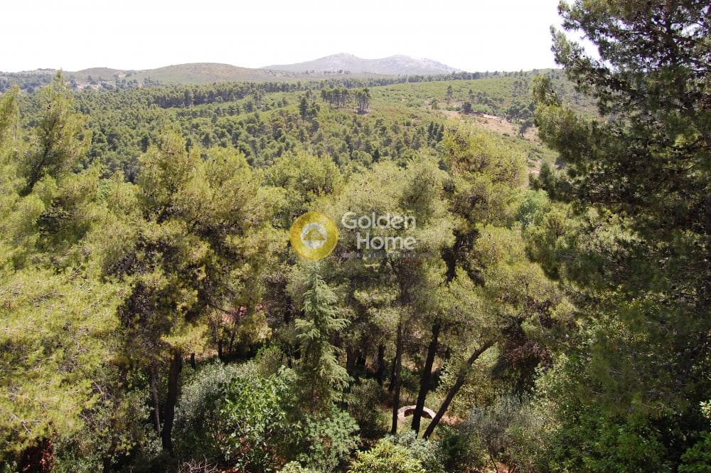 House in Center, Stamata — Photo 13 of 25