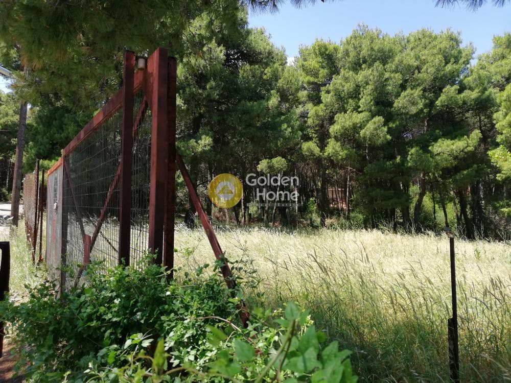 Building Plot in Fasideri, Anoixi — Photo 1 of 2