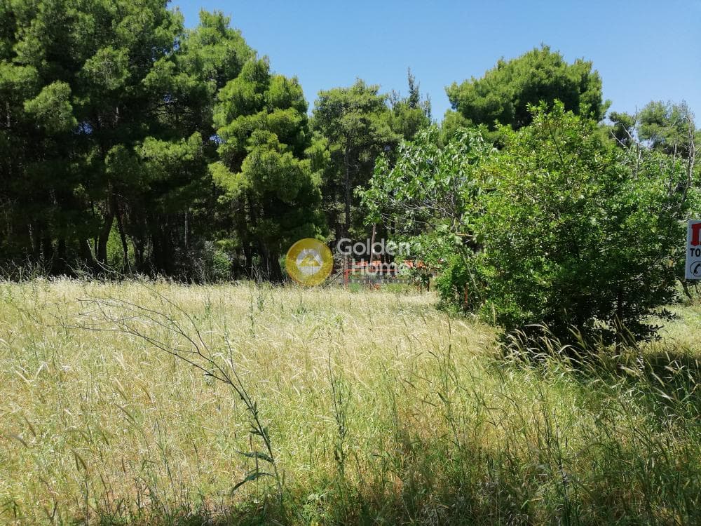 Building Plot in Fasideri, Anoixi — Photo 2 of 2