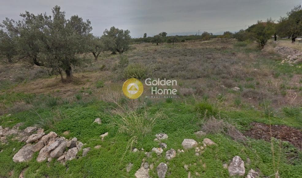 Οικόπεδο στην Κυψέλη, Αίγινα