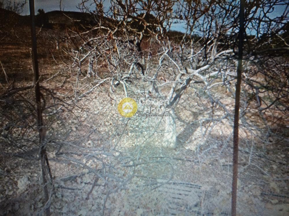 Building Plot in Paralia Daskaleiou, Keratea — Photo 7 of 9