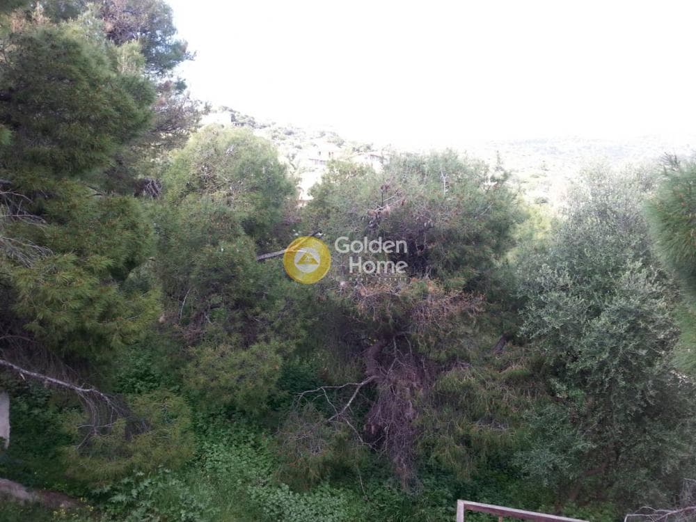 Μονοκατοικία στην Πόρτο Ράφτη, Βραυρώνα — Φωτογραφία 10 από 12