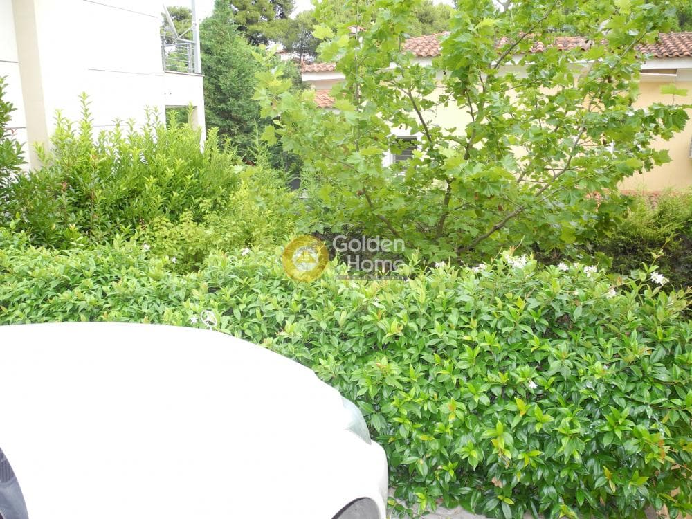 House in Dasos Kouremenou, Agios Stefanos — Photo 29 of 59