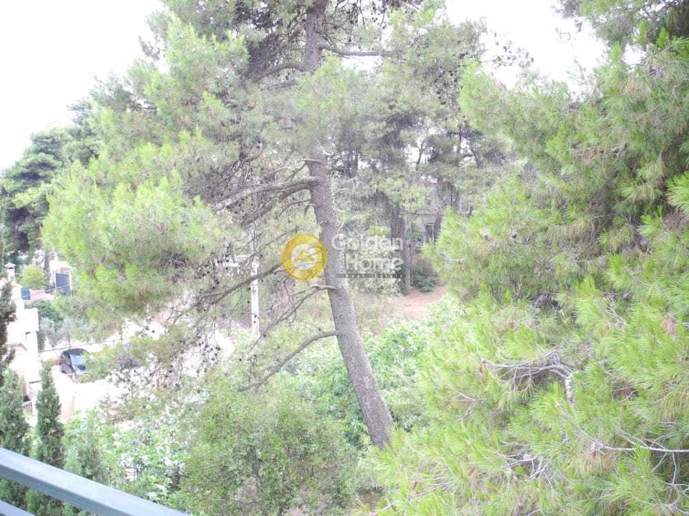 House in Dasos Kouremenou, Agios Stefanos — Photo 43 of 59