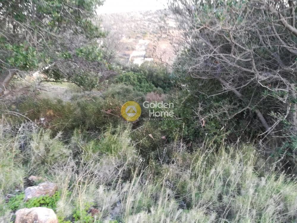 Building Plot in Lamprika, Koropi — Photo 1 of 6