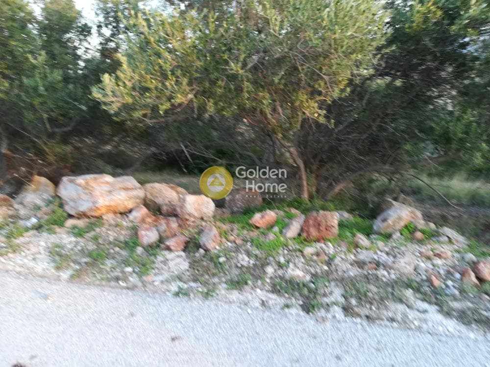 Building Plot in Lamprika, Koropi — Photo 2 of 6