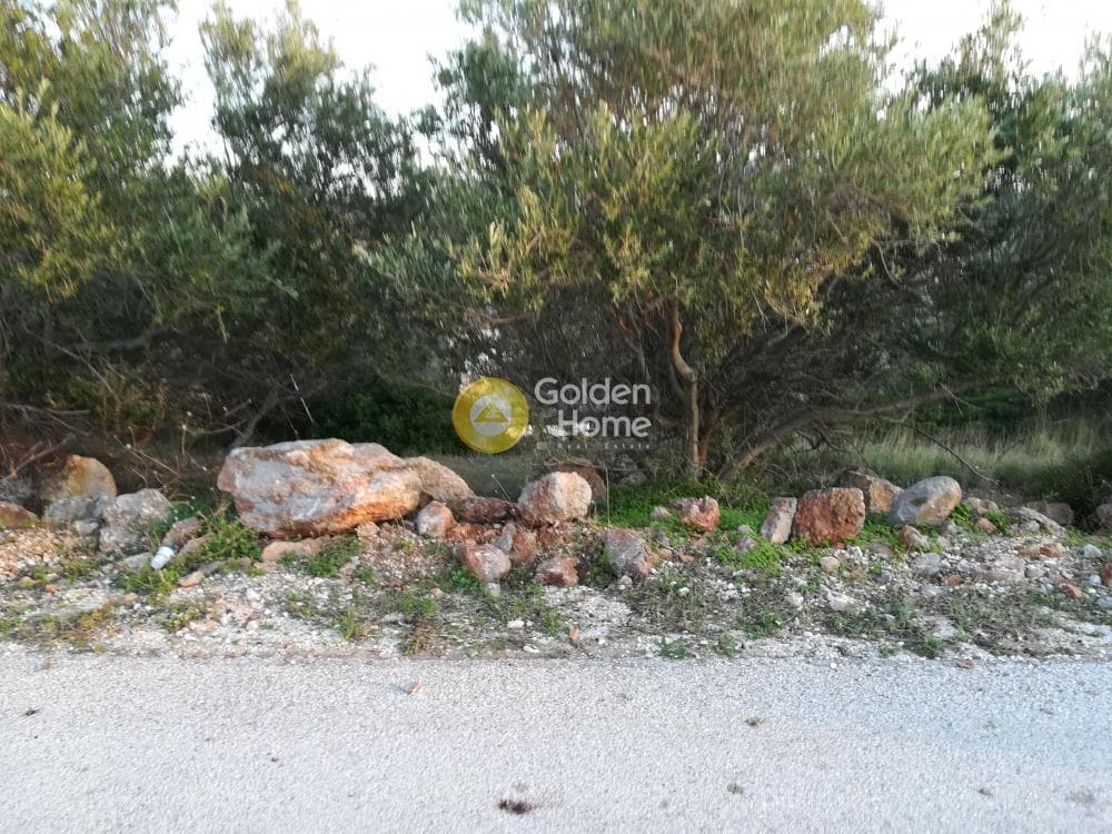 Building Plot in Lamprika, Koropi — Photo 3 of 6