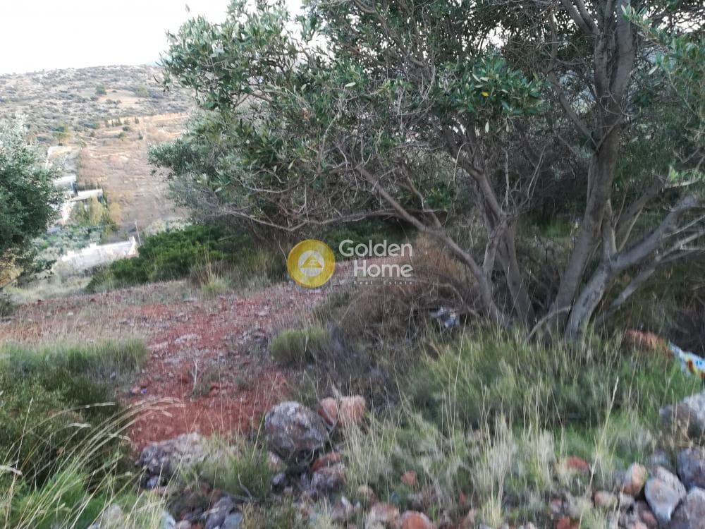 Building Plot in Lamprika, Koropi — Photo 4 of 6