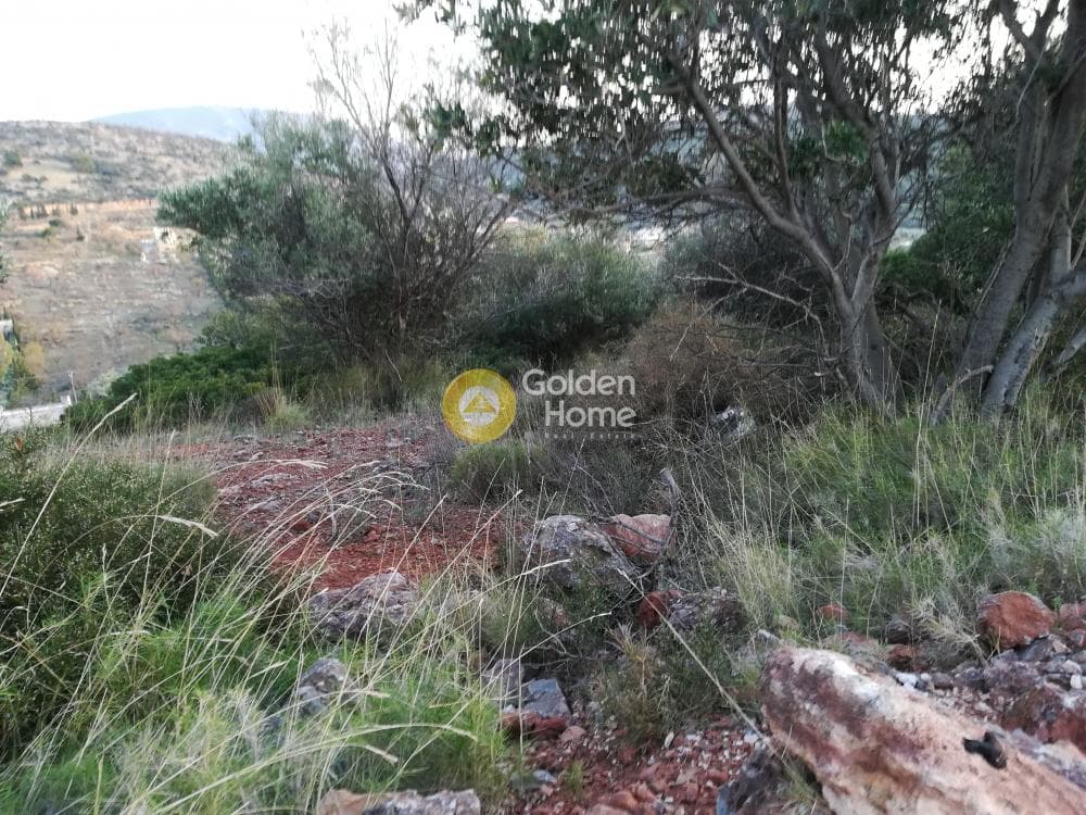 Building Plot in Lamprika, Koropi — Photo 5 of 6