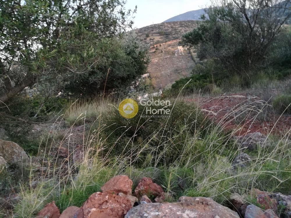 Building Plot in Lamprika, Koropi — Photo 6 of 6