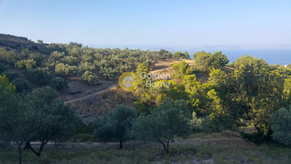 Parcel in Ligoneri, Spetses — Photo 6 of 8