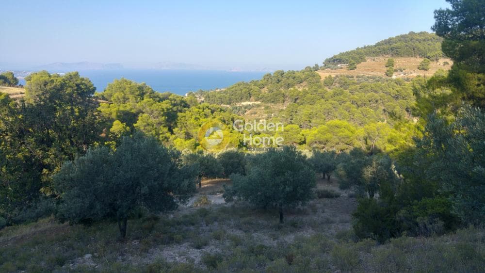 Parcel in Ligoneri, Spetses — Photo 5 of 8