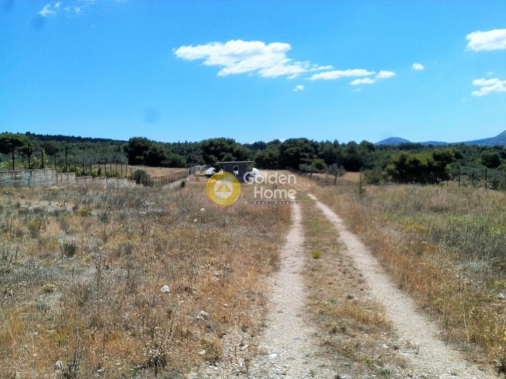 Αγροτεμάχιο στην Μεγάλα Σχοινία Α, Αχαρνές — Φωτογραφία 2 από 10
