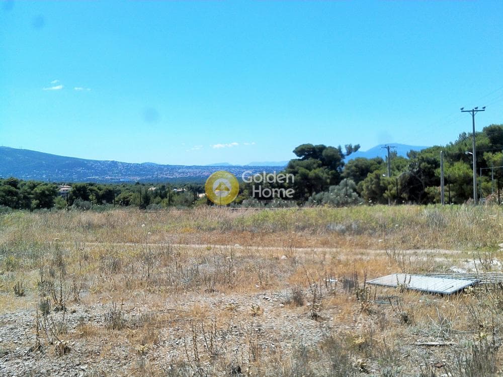Αγροτεμάχιο στην Μεγάλα Σχοινία Α, Αχαρνές — Φωτογραφία 3 από 10