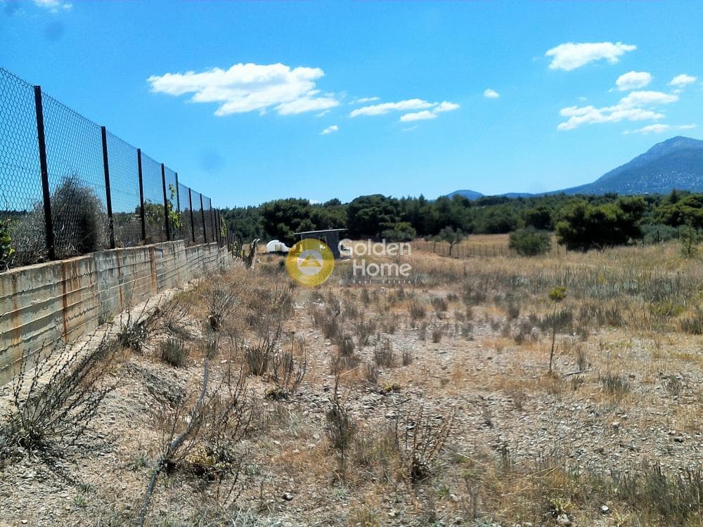 Αγροτεμάχιο στην Μεγάλα Σχοινία Α, Αχαρνές — Φωτογραφία 6 από 10