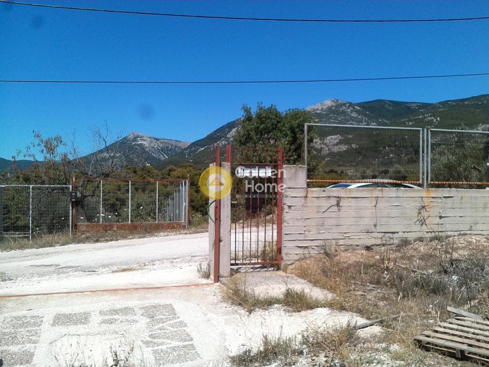 Αγροτεμάχιο στην Μεγάλα Σχοινία Α, Αχαρνές — Φωτογραφία 1 από 10