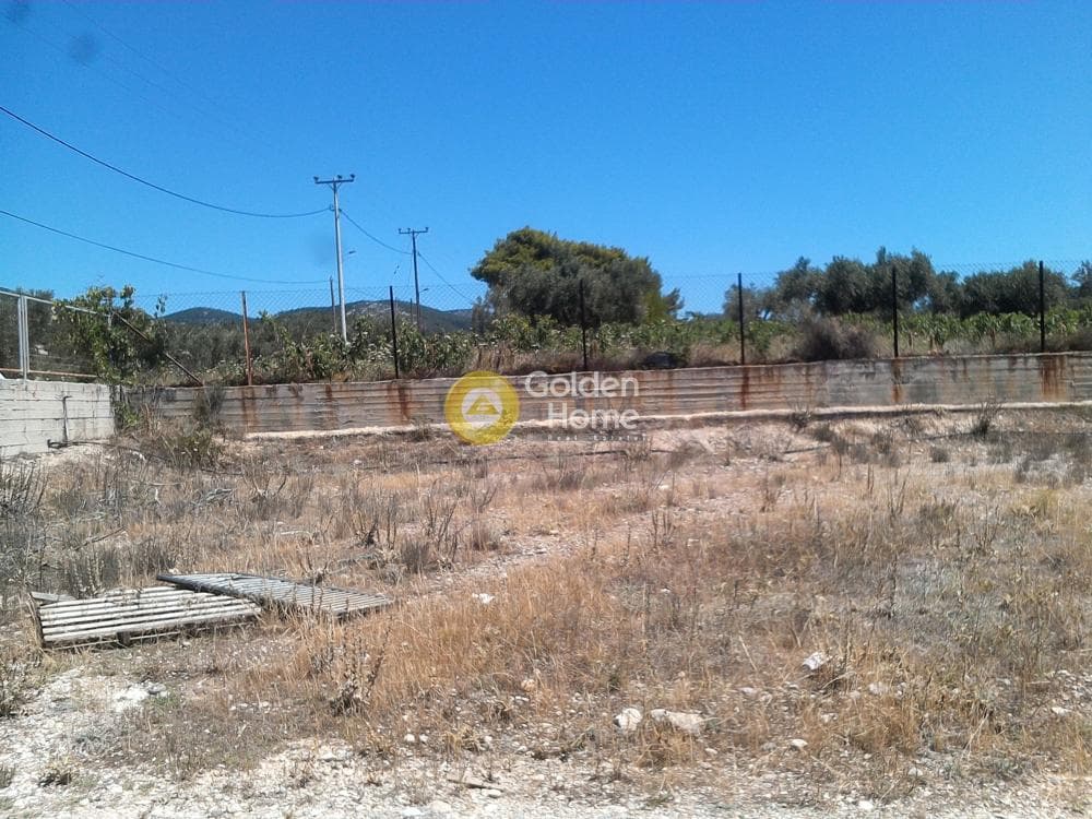 Αγροτεμάχιο στην Μεγάλα Σχοινία Α, Αχαρνές — Φωτογραφία 7 από 10