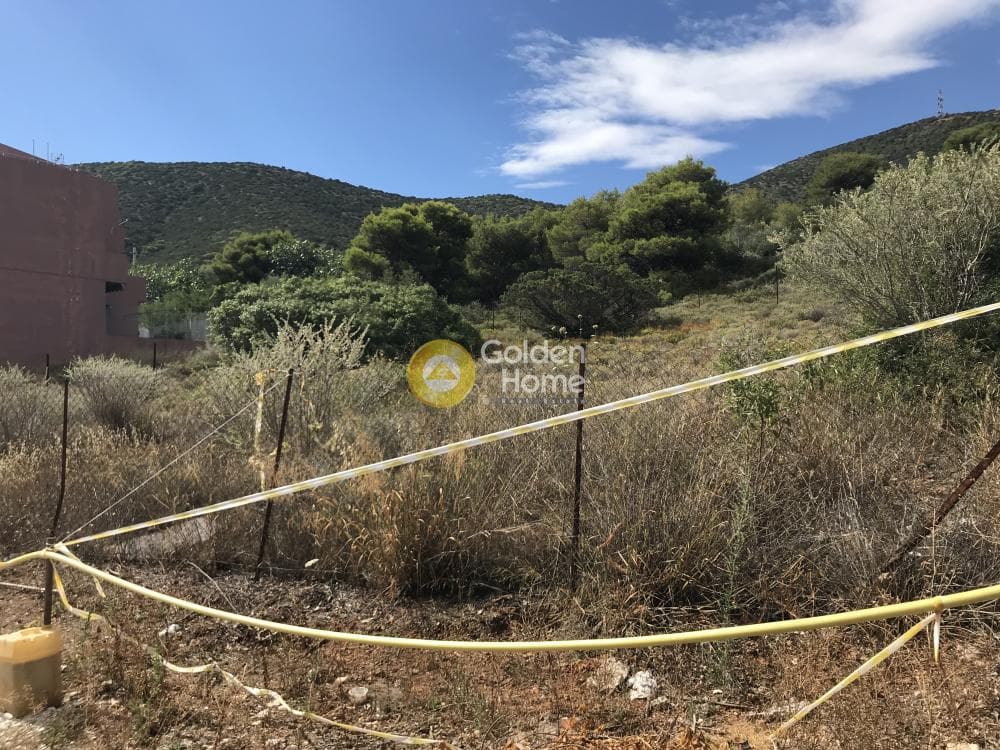 Building Plot in Limni Markopoulou, Markopoulo — Photo 3 of 24