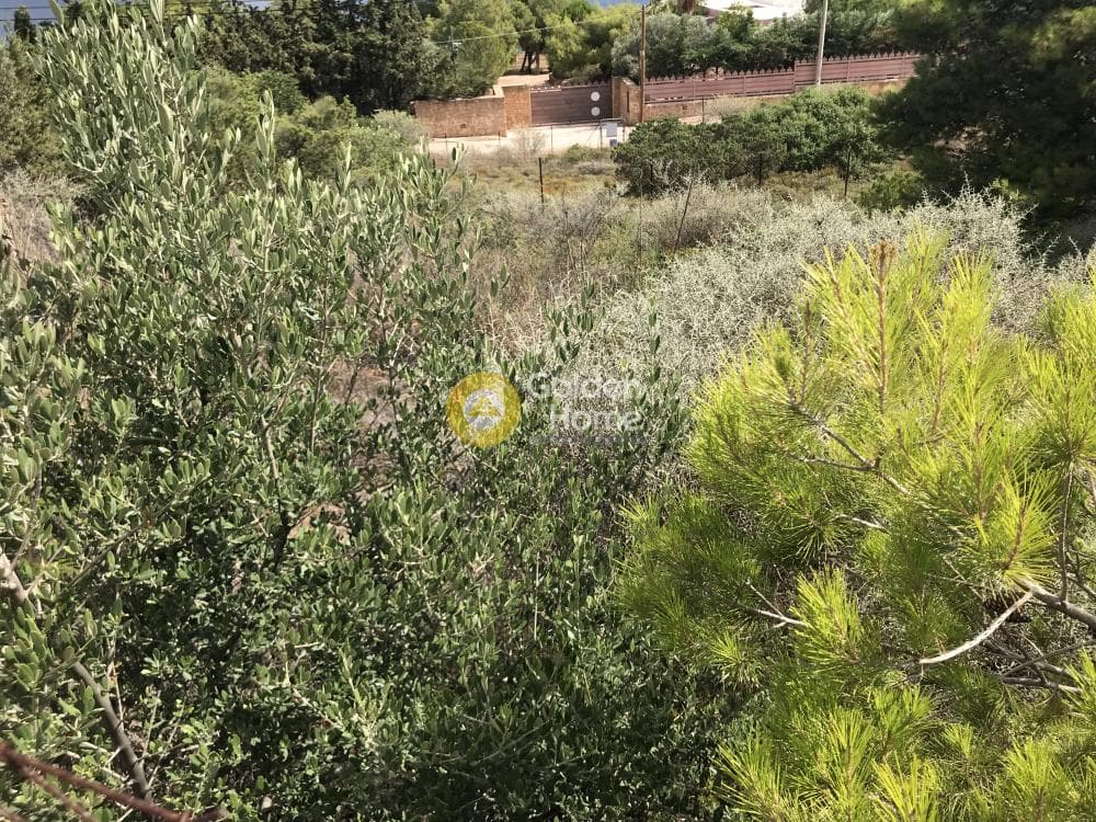 Building Plot in Limni Markopoulou, Markopoulo — Photo 6 of 24