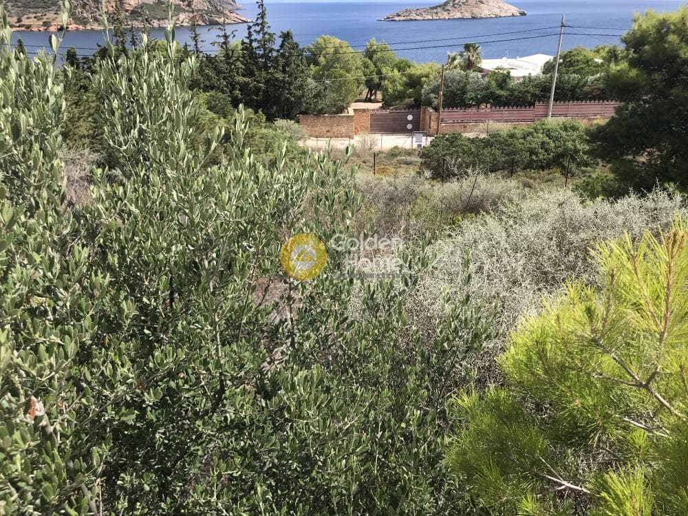 Building Plot in Limni Markopoulou, Markopoulo — Photo 7 of 24