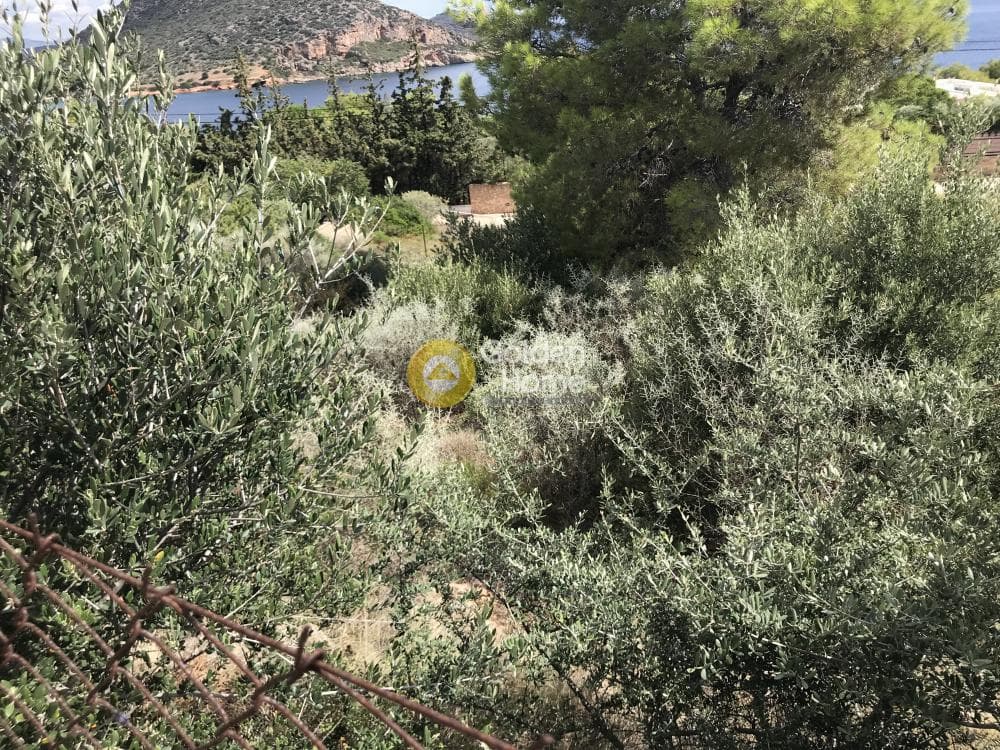 Building Plot in Limni Markopoulou, Markopoulo — Photo 9 of 24