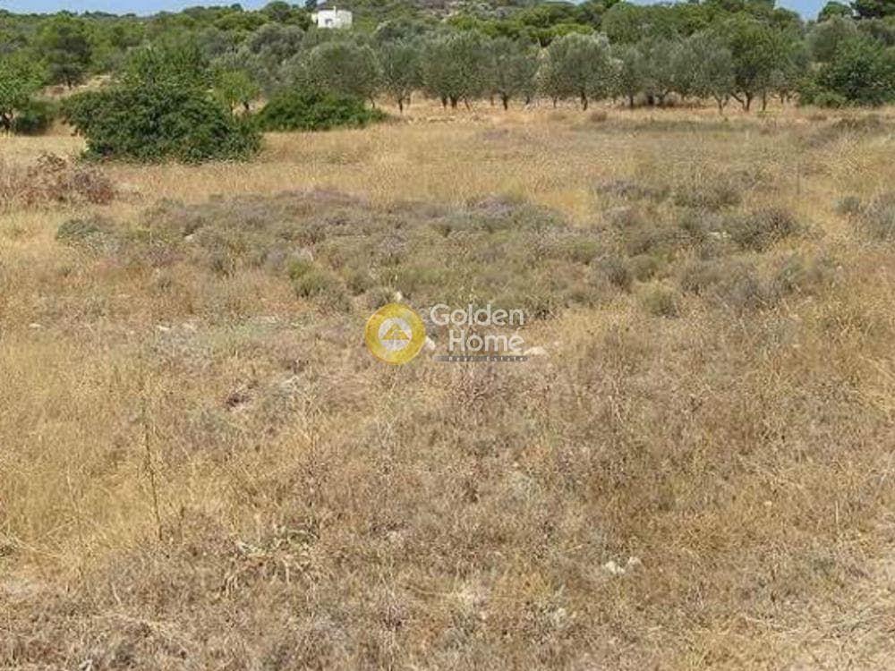 Οικόπεδο στην Μαραθώνας, Αίγινα — Φωτογραφία 6 από 8