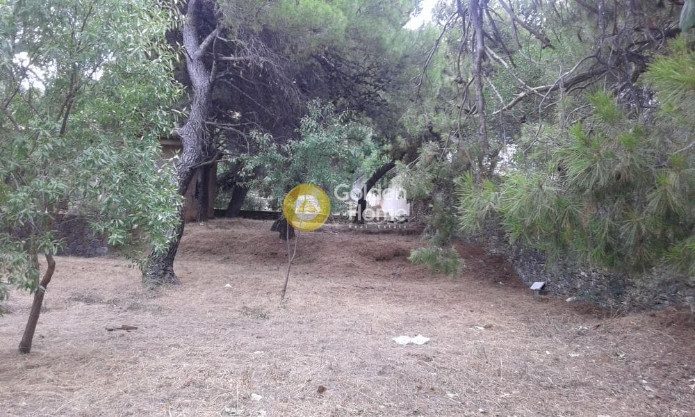 Building Plot in Kefalari, Kifisia — Photo 3 of 15
