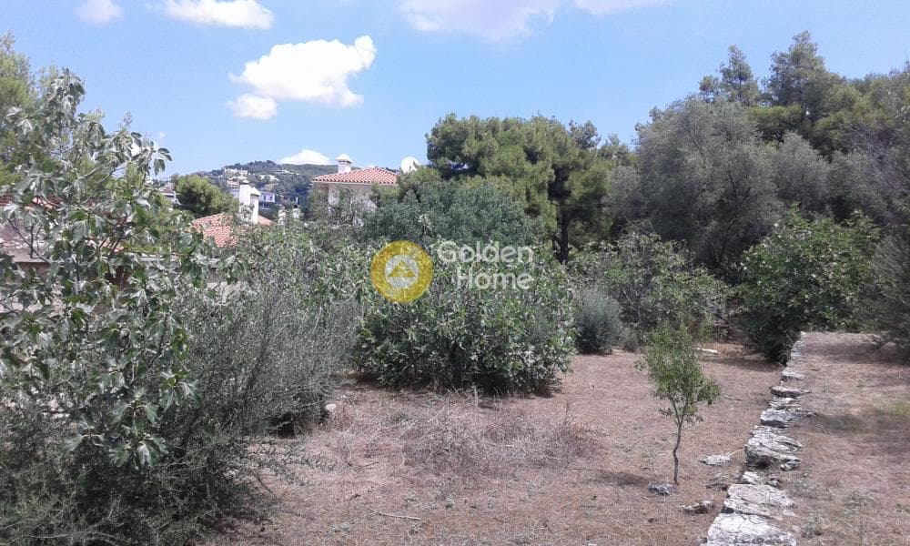 Building Plot in Kefalari, Kifisia — Photo 8 of 15