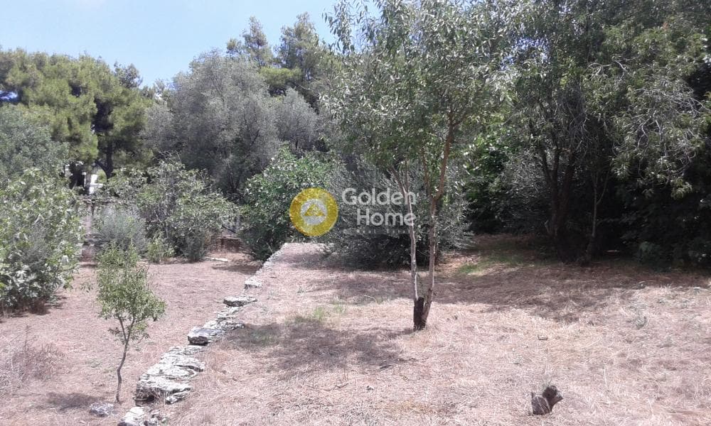 Building Plot in Kefalari, Kifisia — Photo 9 of 15