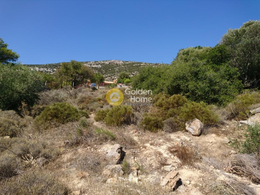 Οικόπεδο στην Πόρτο Ράφτη, Βραυρώνα — Φωτογραφία 1 από 3