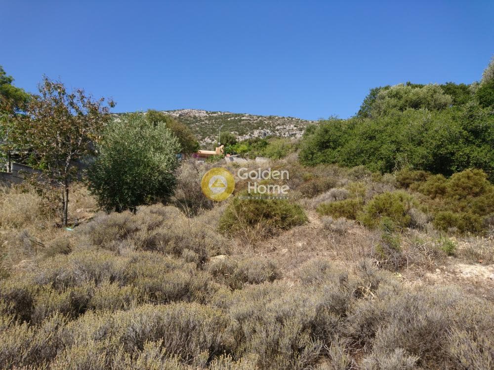 Οικόπεδο στην Πόρτο Ράφτη, Βραυρώνα — Φωτογραφία 3 από 3