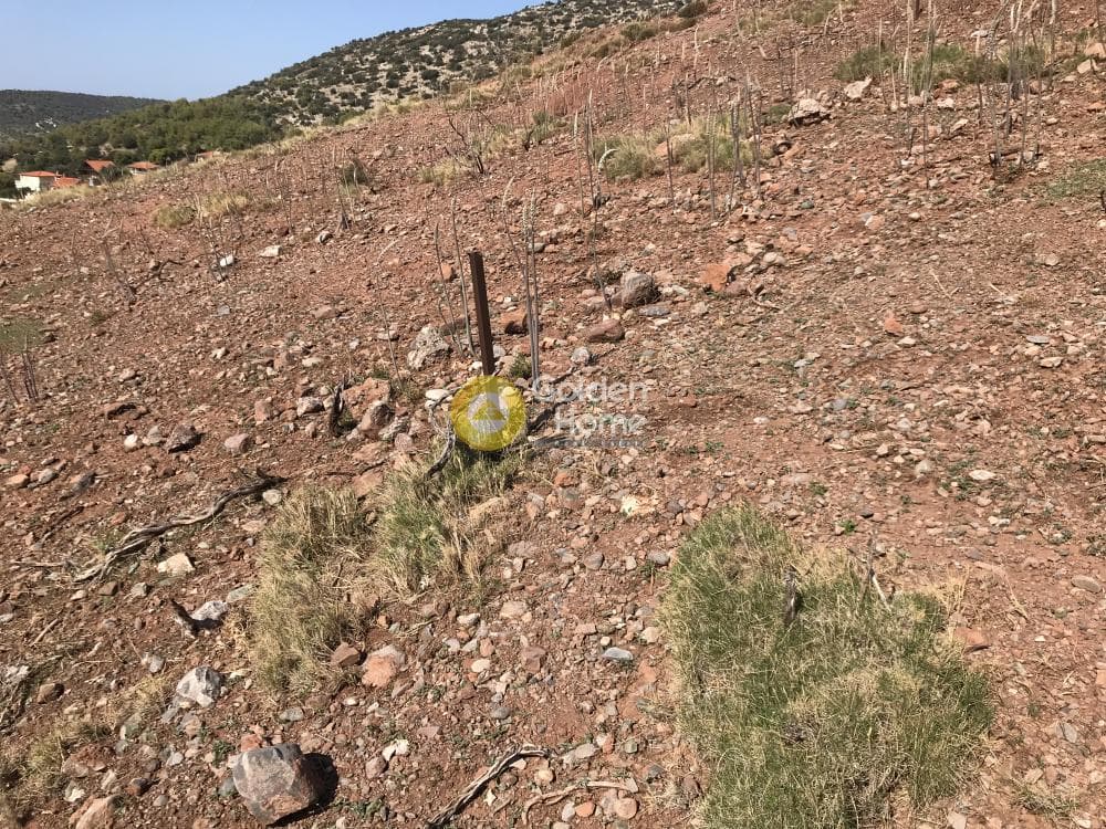 Building Plot in Galazia akti, Kalivia Thorikou — Photo 10 of 12
