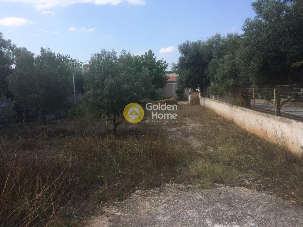 Αγροτεμάχιο στην Λαμπρικά, Κορωπί — Φωτογραφία 3 από 5