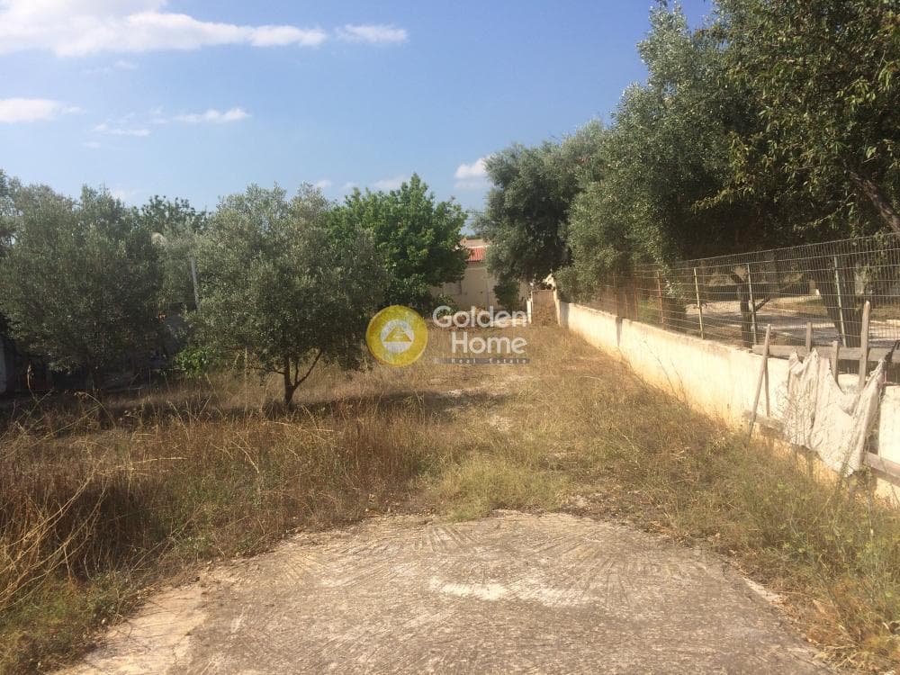 Αγροτεμάχιο στην Λαμπρικά, Κορωπί — Φωτογραφία 2 από 5