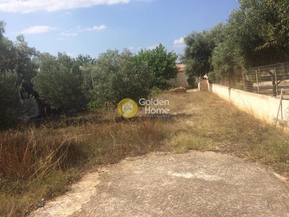 Αγροτεμάχιο στην Λαμπρικά, Κορωπί — Φωτογραφία 5 από 5