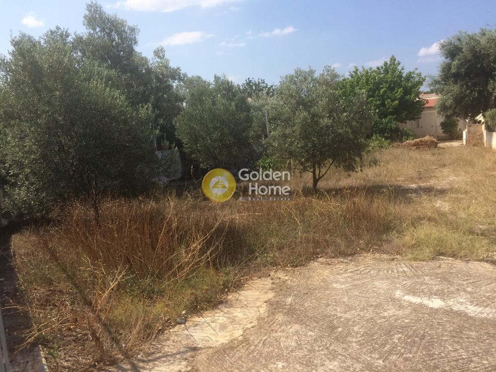 Αγροτεμάχιο στην Λαμπρικά, Κορωπί — Φωτογραφία 1 από 5