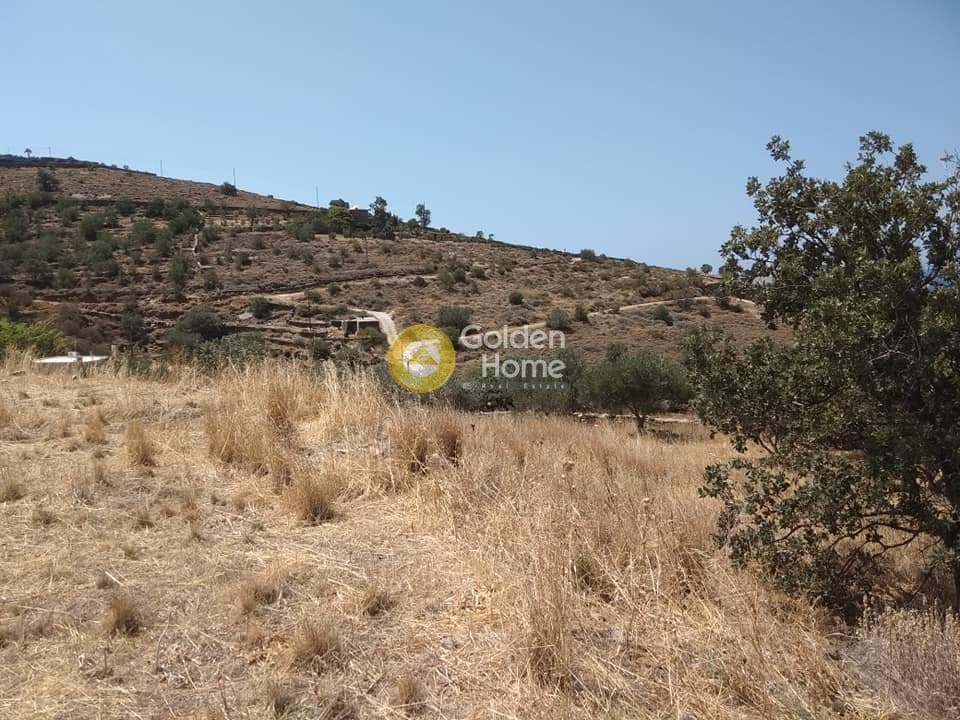 Οικόπεδο στην Λιγιά, Κέα — Φωτογραφία 4 από 10