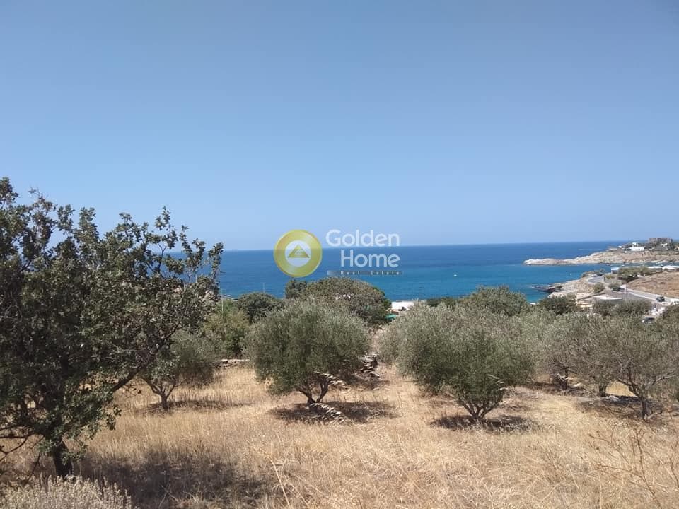 Οικόπεδο στην Λιγιά, Κέα — Φωτογραφία 8 από 10